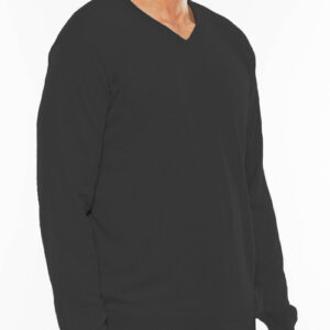 Men's solid pullover v neck sweater.