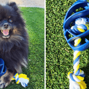 Rubber Football Dog Chew Toy with Tug Rope